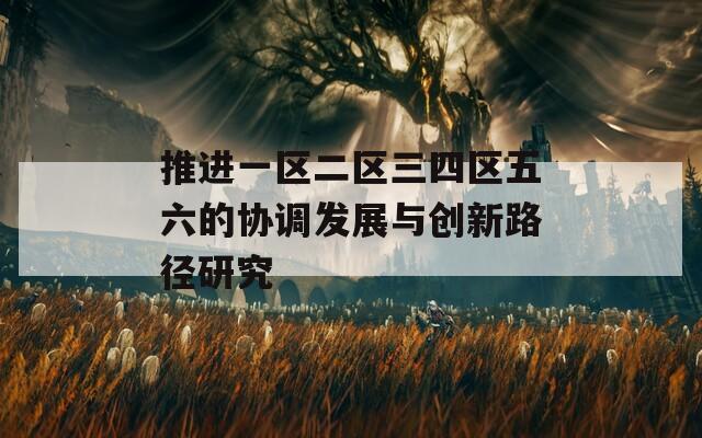 推进一区二区三四区五六的协调发展与创新路径研究