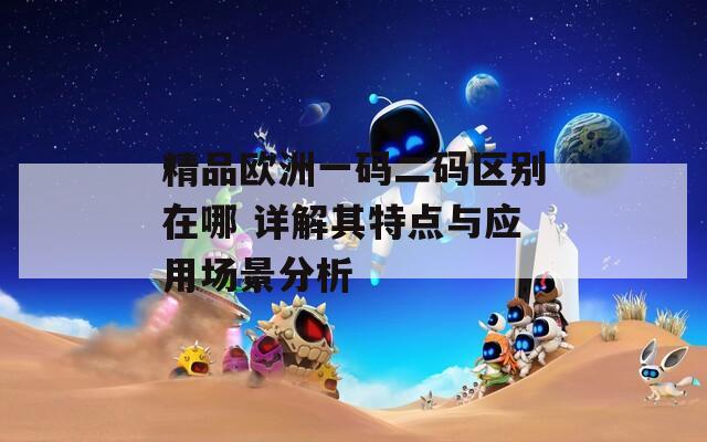 精品欧洲一码二码区别在哪 详解其特点与应用场景分析