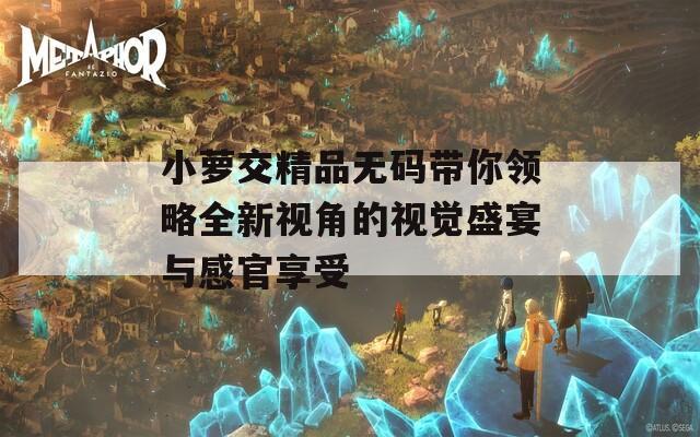 小萝交精品无码带你领略全新视角的视觉盛宴与感官享受  第1张