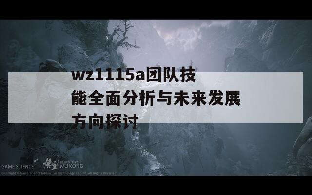 wz1115a团队技能全面分析与未来发展方向探讨