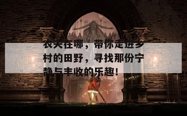 农夫在哪，带你走进乡村的田野，寻找那份宁静与丰收的乐趣！