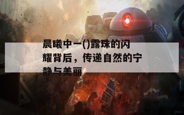 晨曦中一()露珠的闪耀背后，传递自然的宁静与美丽