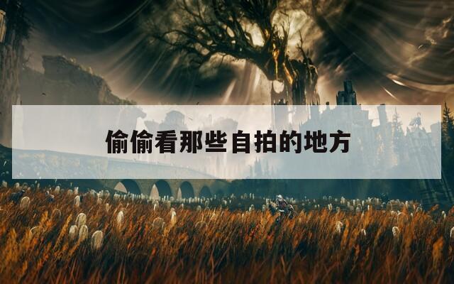 偷偷看那些自拍的地方