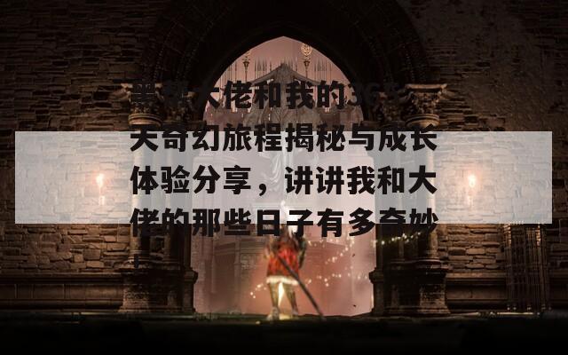黑帮大佬和我的365天奇幻旅程揭秘与成长体验分享，讲讲我和大佬的那些日子有多奇妙！