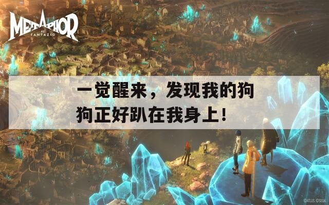 一觉醒来，发现我的狗狗正好趴在我身上！  第1张