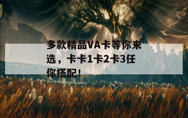 多款精品VA卡等你来选，卡卡1卡2卡3任你搭配！  第1张
