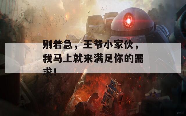 别着急，王爷小家伙，我马上就来满足你的需求！