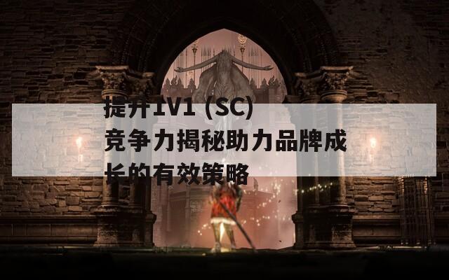 提升1V1 (SC)竞争力揭秘助力品牌成长的有效策略  第1张