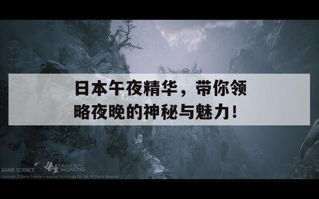 日本午夜精华，带你领略夜晚的神秘与魅力！  第1张