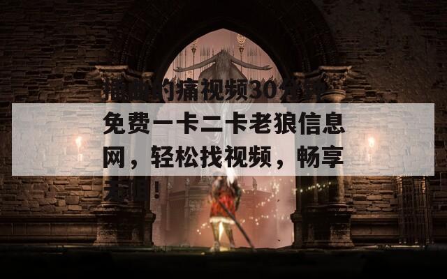 插曲的痛视频30分钟免费一卡二卡老狼信息网，轻松找视频，畅享无阻！