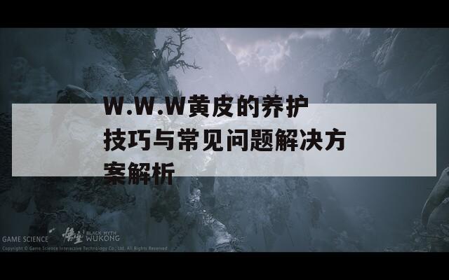 W.W.W黄皮的养护技巧与常见问题解决方案解析