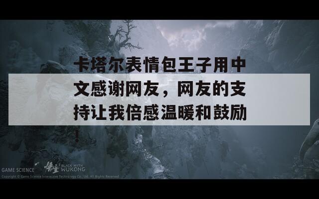 卡塔尔表情包王子用中文感谢网友，网友的支持让我倍感温暖和鼓励！