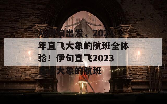 从伊甸出发，2023年直飞大象的航班全体验！伊甸直飞2023直达大象的航班