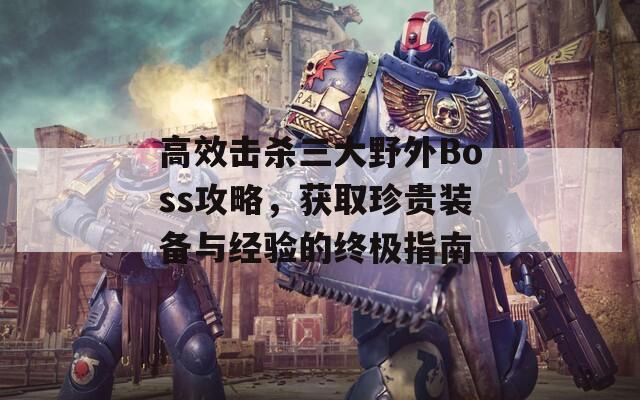 高效击杀三大野外Boss攻略，获取珍贵装备与经验的终极指南