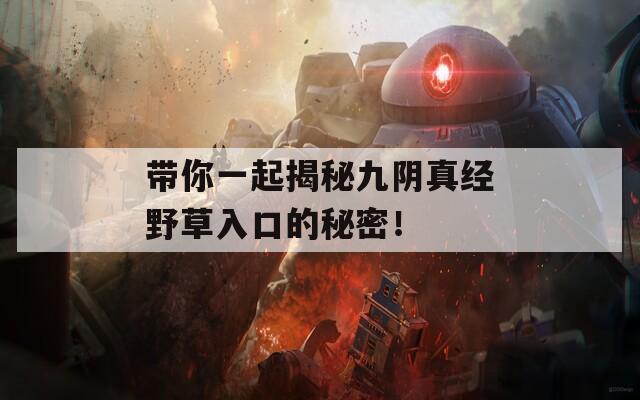 带你一起揭秘九阴真经野草入口的秘密！