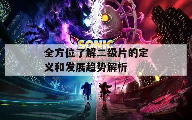 全方位了解二级片的定义和发展趋势解析