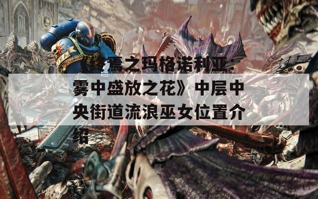 《终焉之玛格诺利亚：雾中盛放之花》中层中央街道流浪巫女位置介绍