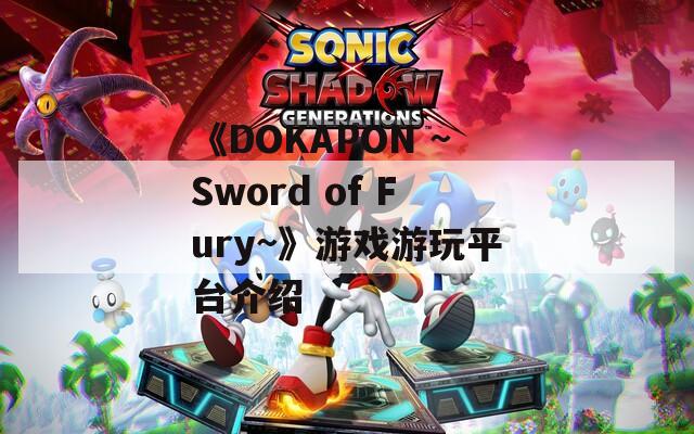 《DOKAPON ~Sword of Fury~》游戏游玩平台介绍