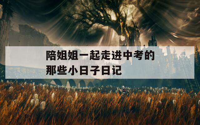 陪姐姐一起走进中考的那些小日子日记