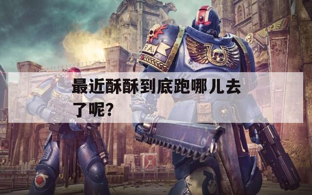 最近酥酥到底跑哪儿去了呢？