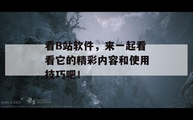 看B站软件，来一起看看它的精彩内容和使用技巧吧！