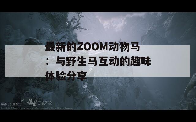 最新的ZOOM动物马：与野生马互动的趣味体验分享