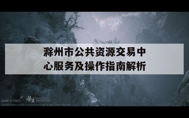 滁州市公共资源交易中心服务及操作指南解析
