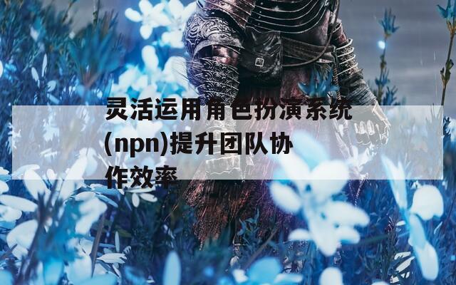 灵活运用角色扮演系统(npn)提升团队协作效率