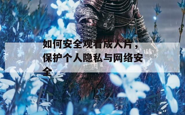 如何安全观看成人片，保护个人隐私与网络安全