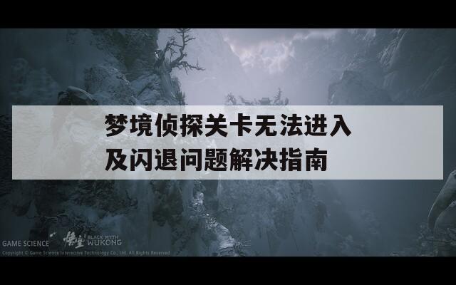 梦境侦探关卡无法进入及闪退问题解决指南