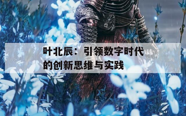 叶北辰：引领数字时代的创新思维与实践