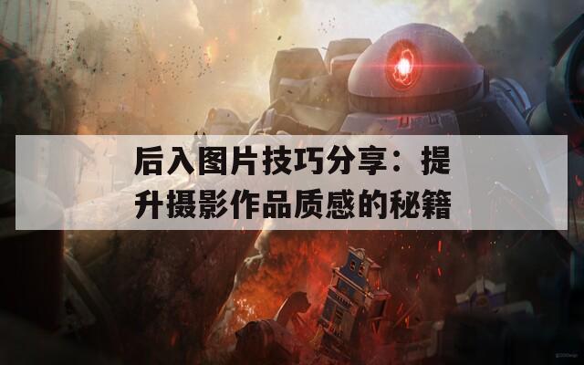 后入图片技巧分享：提升摄影作品质感的秘籍
