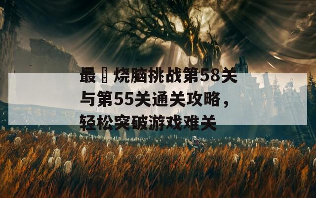 最囧烧脑挑战第58关与第55关通关攻略，轻松突破游戏难关