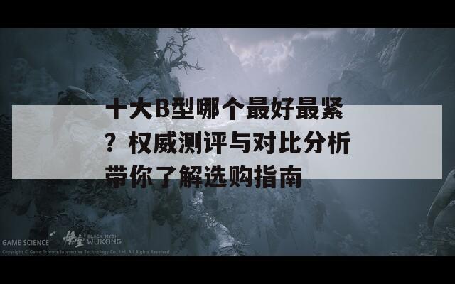 十大B型哪个最好最紧？权威测评与对比分析带你了解选购指南
