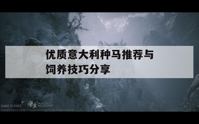 优质意大利种马推荐与饲养技巧分享