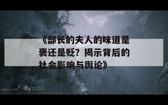 《部长的夫人的味道是褒还是贬？揭示背后的社会影响与舆论》
