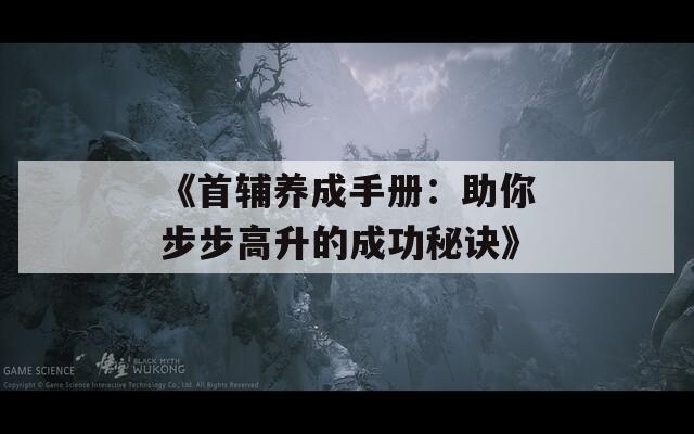 《首辅养成手册：助你步步高升的成功秘诀》