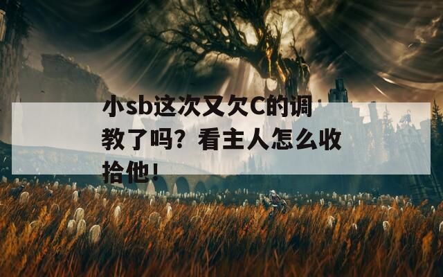小sb这次又欠C的调教了吗？看主人怎么收拾他！  第1张