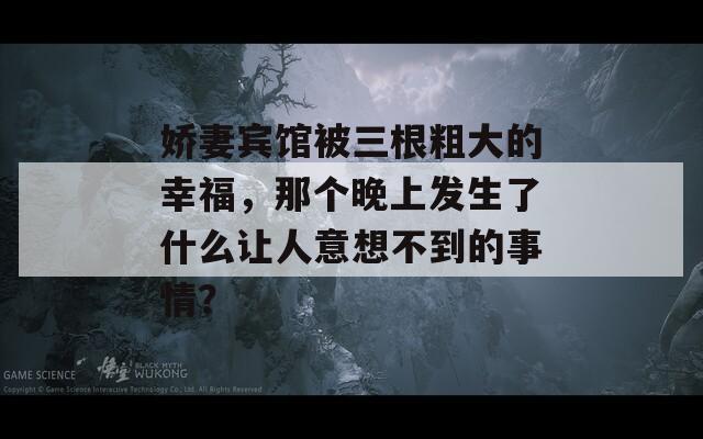 娇妻宾馆被三根粗大的幸福，那个晚上发生了什么让人意想不到的事情？  第1张