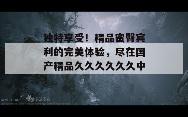 独特享受！精品蜜臀宾利的完美体验，尽在国产精品久久久久久久中！