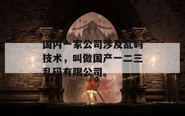 国内一家公司涉及乱码技术，叫做国产一二三乱码有限公司。