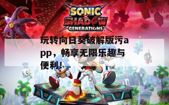 玩转向日葵破解版污app，畅享无限乐趣与便利！  第1张