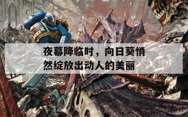 夜幕降临时，向日葵悄然绽放出动人的美丽