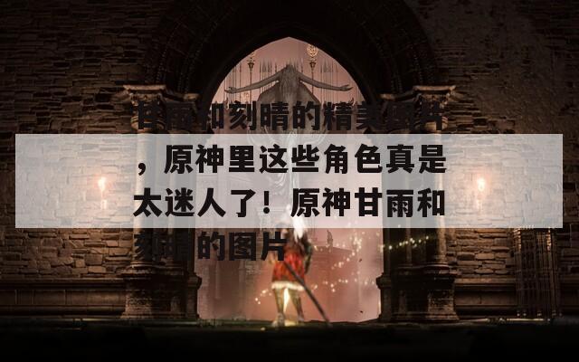 甘雨和刻晴的精美图片，原神里这些角色真是太迷人了！原神甘雨和刻晴的图片