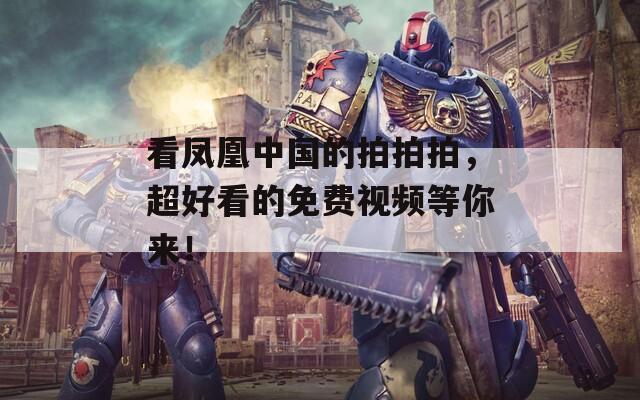 看凤凰中国的拍拍拍，超好看的免费视频等你来！