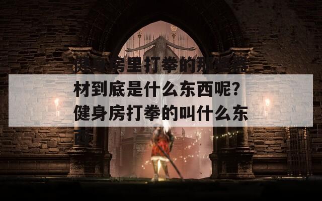 健身房里打拳的那些器材到底是什么东西呢？健身房打拳的叫什么东西