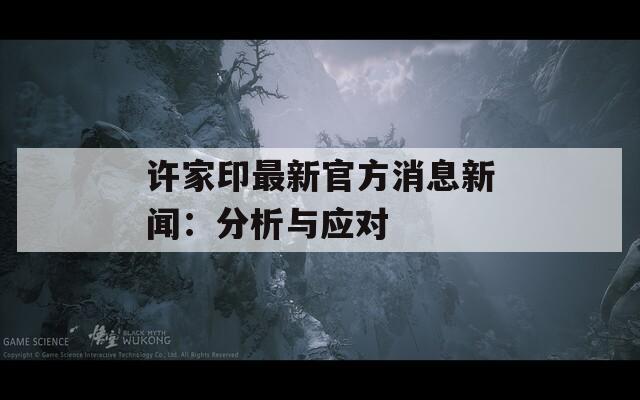许家印最新官方消息新闻：分析与应对  第1张