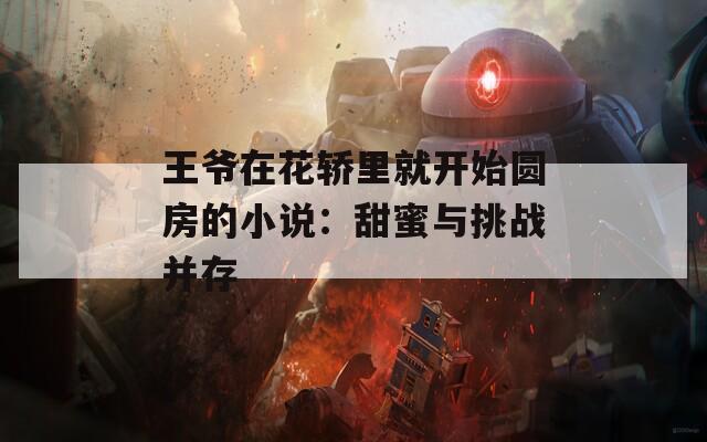 王爷在花轿里就开始圆房的小说：甜蜜与挑战并存
