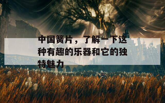 中国簧片，了解一下这种有趣的乐器和它的独特魅力