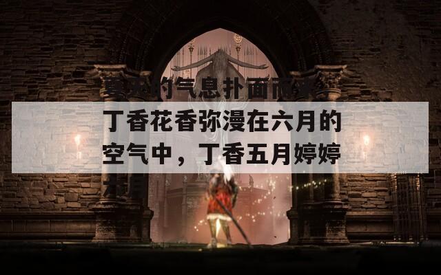 夏天的气息扑面而来，丁香花香弥漫在六月的空气中，丁香五月婷婷六月